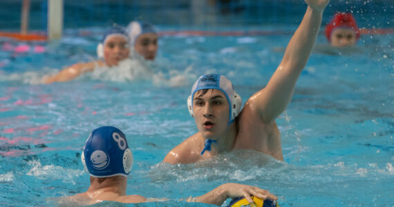 Wasserball