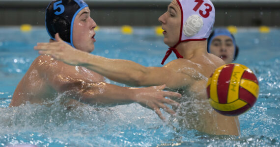 Wasserball