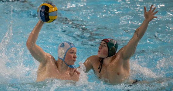 Wasserball