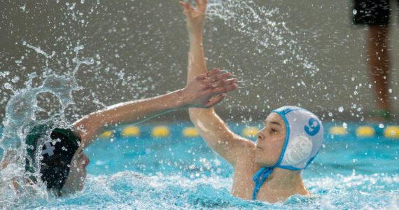 Wasserball