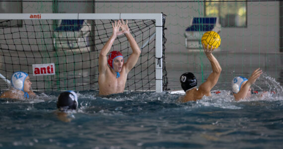 Wasserball