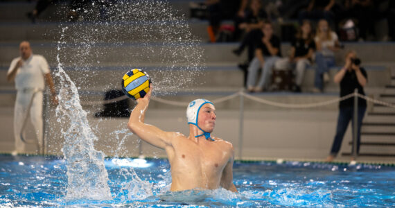 Wasserball