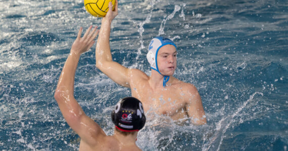 Wasserball