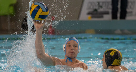 Wasserball