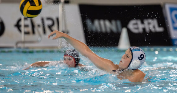 Wasserball