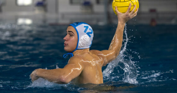 Wasserball