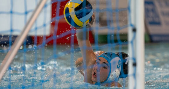 Wasserball