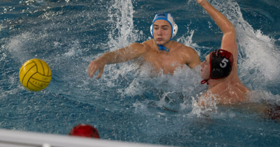 Wasserball