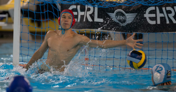 Wasserball