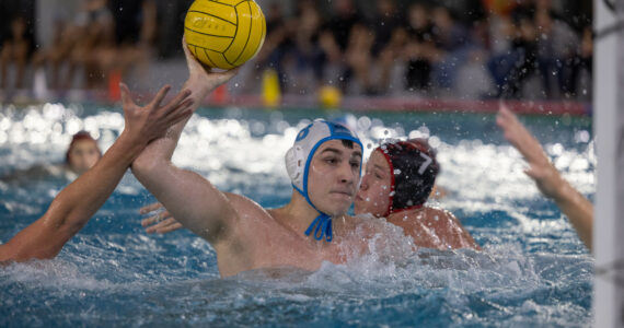 Wasserball