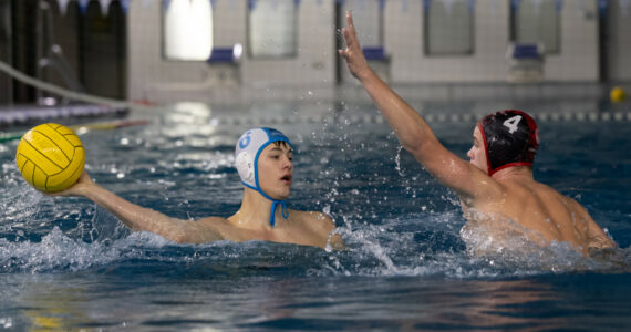 Wasserball