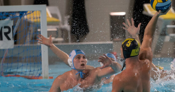 Wasserball