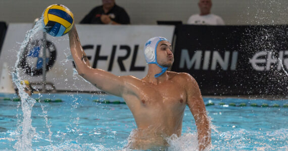 Wasserball