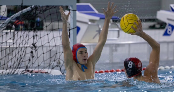 Wasserball