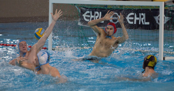 Wasserball