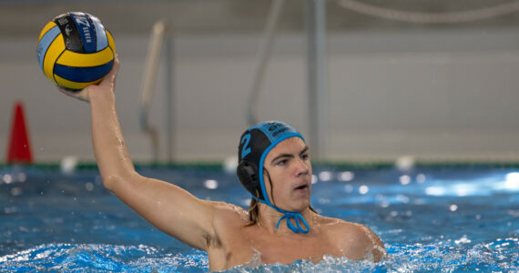 Wasserball