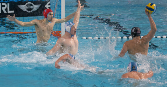 Wasserball