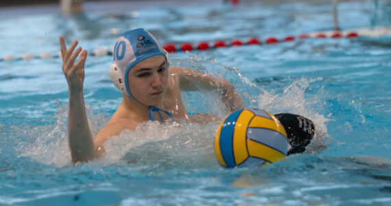 Wasserball