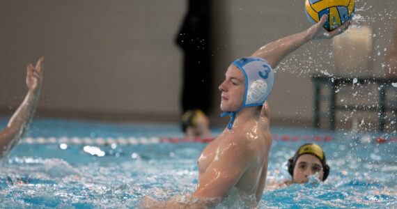 Wasserball
