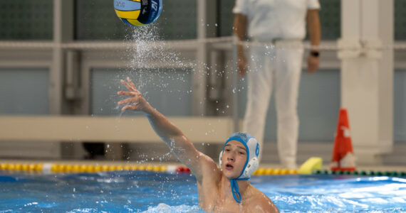 Wasserball