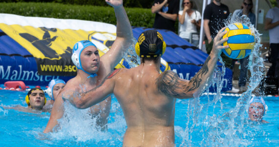 Wasserball