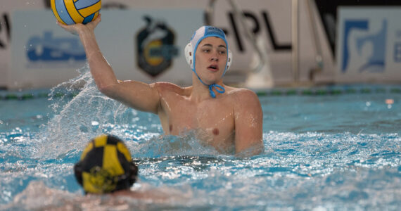 Wasserball