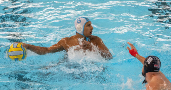 Wasserball