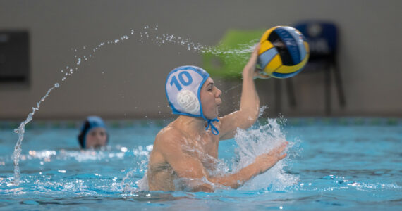 Wasserball