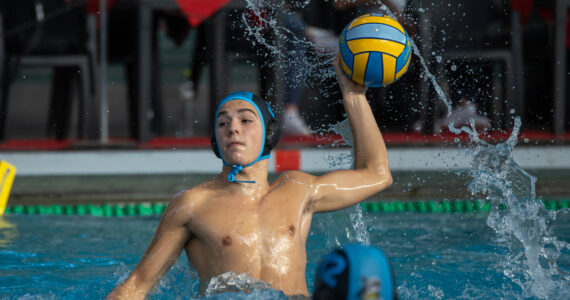Wasserball