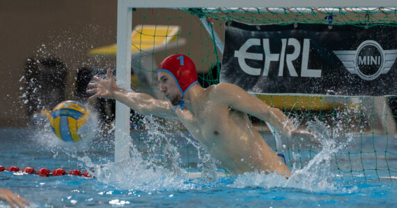 Wasserball