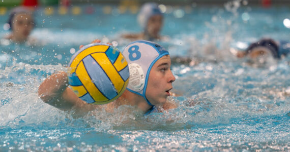 Wasserball