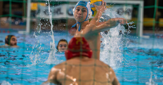 Wasserball