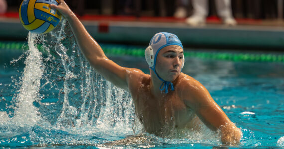 Wasserball