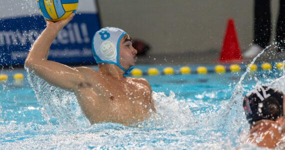 Wasserball Wasserball