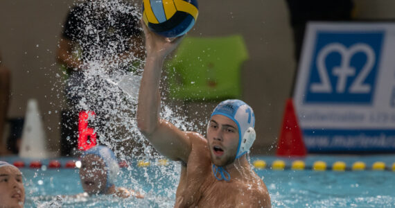 Wasserball Wasserball