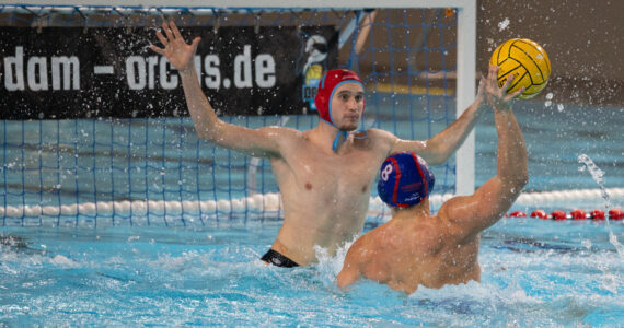 Wasserball