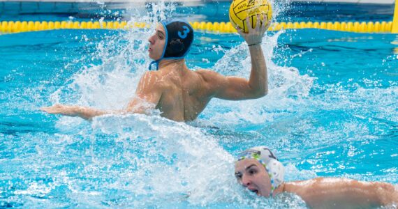 Wasserball Wasserball