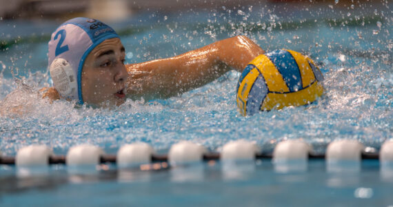 Wasserball Wasserball